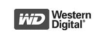 Western Digital Datenrettung